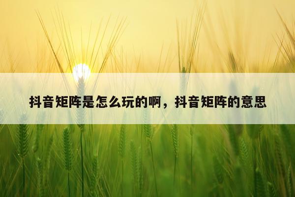 抖音矩阵是怎么玩的啊，抖音矩阵的意思