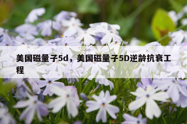 美国磁量子5d，美国磁量子5D逆龄抗衰工程