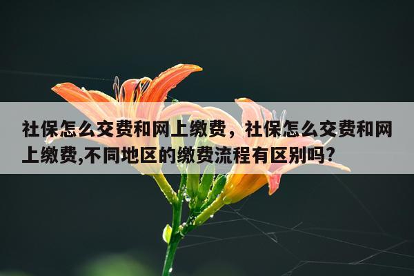 社保怎么交费和网上缴费，社保怎么交费和网上缴费,不同地区的缴费流程有区别吗?