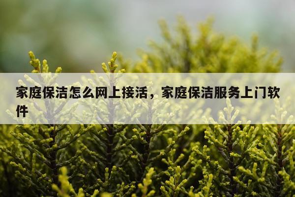 家庭保洁怎么网上接活，家庭保洁服务上门软件