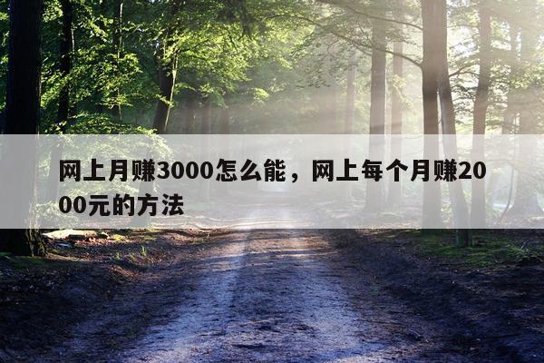 网上月赚3000怎么能，网上每个月赚2000元的方法