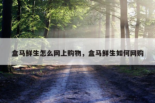 盒马鲜生怎么网上购物，盒马鲜生如何网购