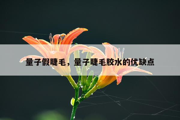 量子假睫毛，量子睫毛胶水的优缺点
