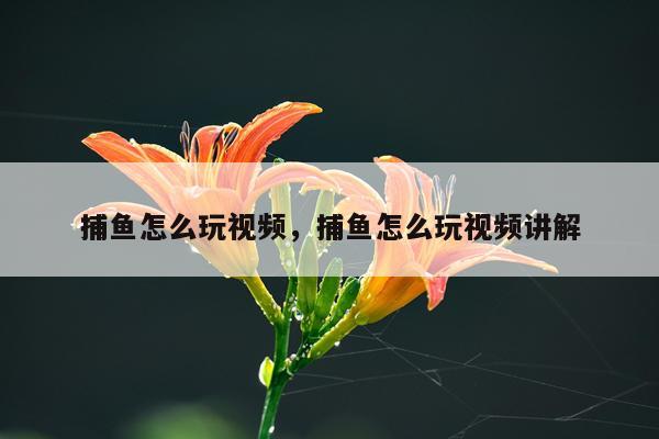 捕鱼怎么玩视频，捕鱼怎么玩视频讲解
