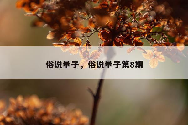 俗说量子，俗说量子第8期