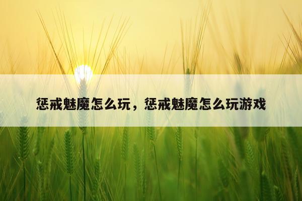 惩戒魅魔怎么玩，惩戒魅魔怎么玩游戏