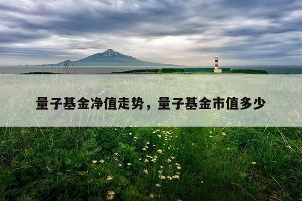 量子基金净值走势，量子基金市值多少