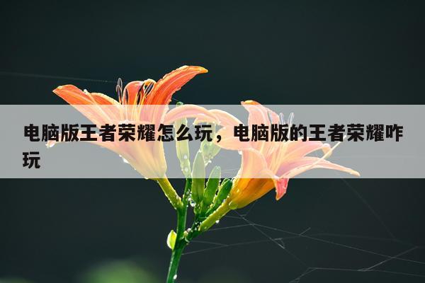 电脑版王者荣耀怎么玩，电脑版的王者荣耀咋玩