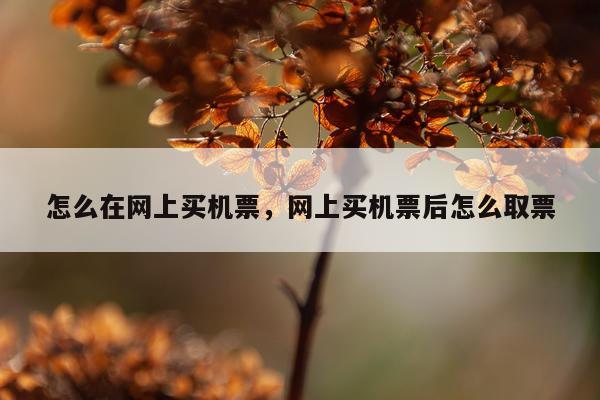 怎么在网上买机票，网上买机票后怎么取票