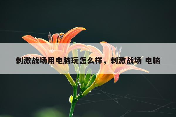 刺激战场用电脑玩怎么样，刺激战场 电脑