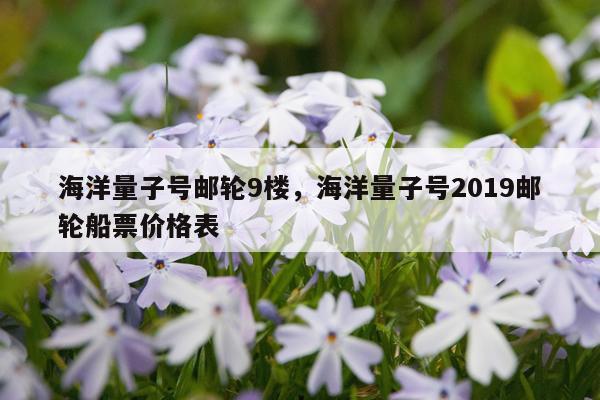 海洋量子号邮轮9楼，海洋量子号2019邮轮船票价格表