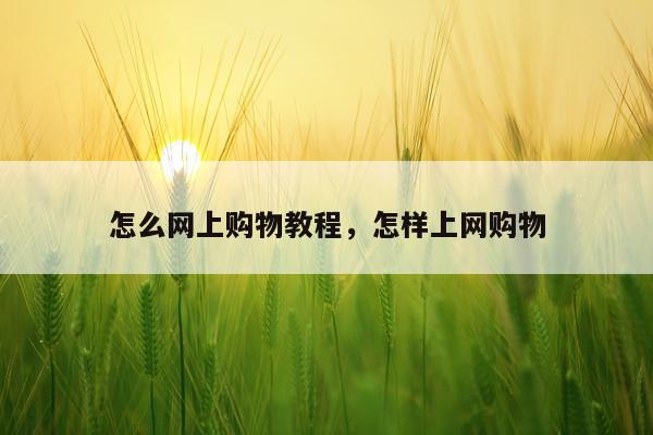 怎么网上购物教程，怎样上网购物