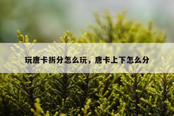 玩唐卡拆分怎么玩，唐卡上下怎么分