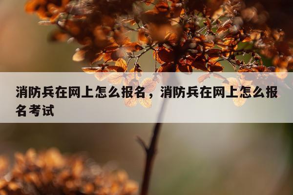 消防兵在网上怎么报名，消防兵在网上怎么报名考试