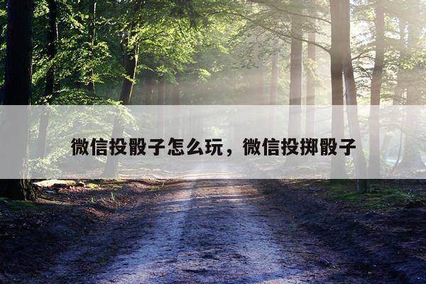 微信投骰子怎么玩，微信投掷骰子