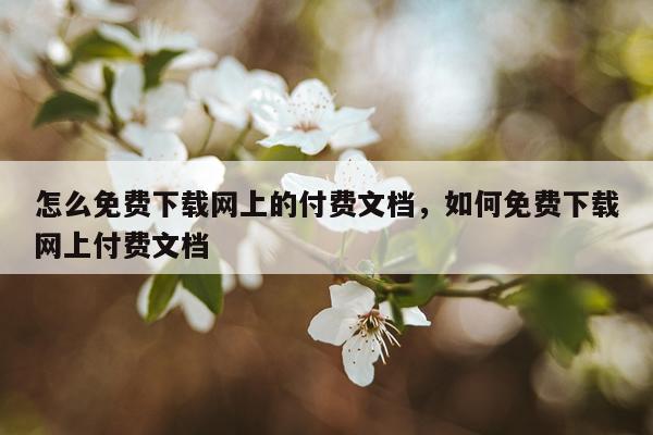 怎么免费下载网上的付费文档，如何免费下载网上付费文档