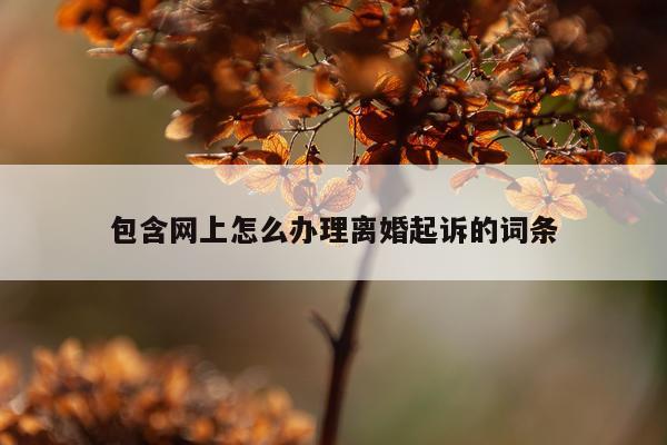 包含网上怎么办理离婚起诉的词条