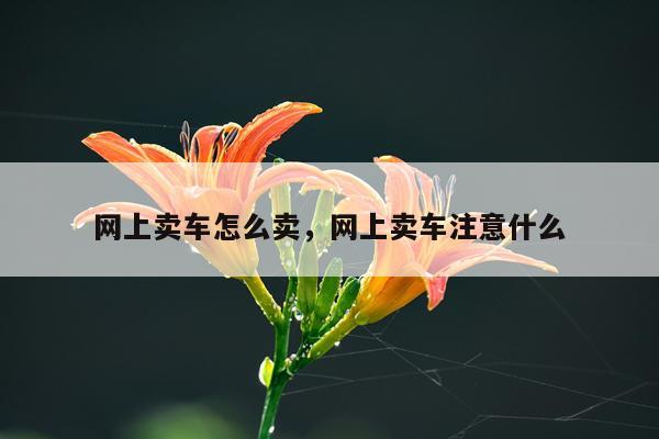 网上卖车怎么卖，网上卖车注意什么