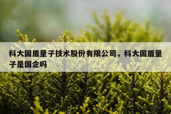 科大国盾量子技术股份有限公司，科大国盾量子是国企吗