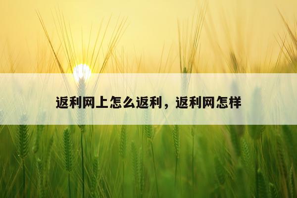 返利网上怎么返利，返利网怎样