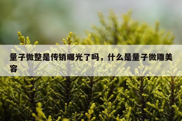 量子微整是传销曝光了吗，什么是量子微雕美容