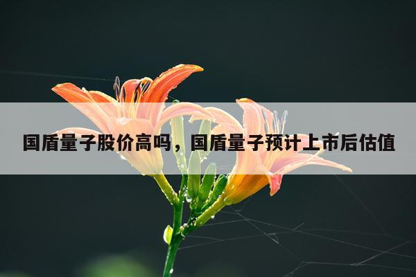 国盾量子股价高吗，国盾量子预计上市后估值