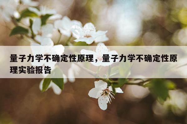 量子力学不确定性原理，量子力学不确定性原理实验报告