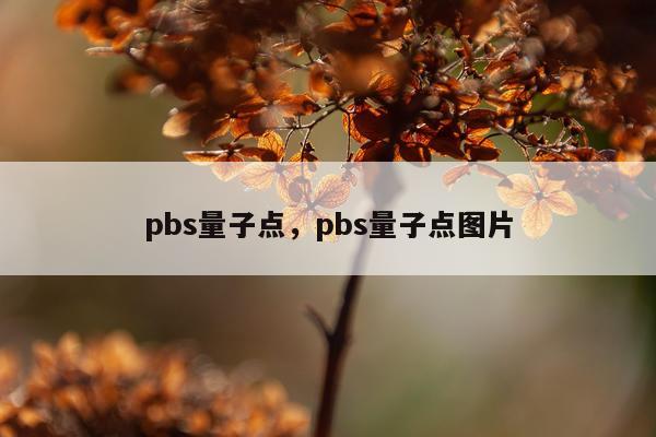 pbs量子点，pbs量子点图片