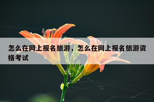 怎么在网上报名旅游，怎么在网上报名旅游资格考试