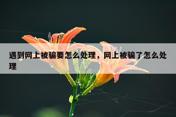 遇到网上被骗要怎么处理，网上被骗了怎么处理