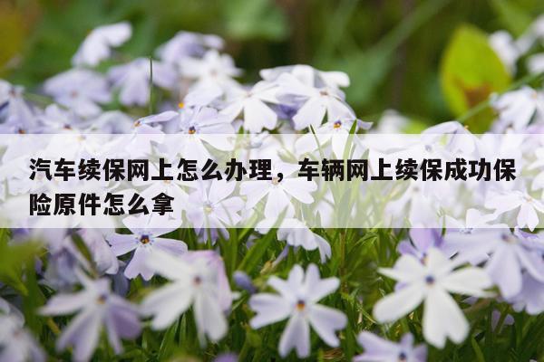 汽车续保网上怎么办理，车辆网上续保成功保险原件怎么拿