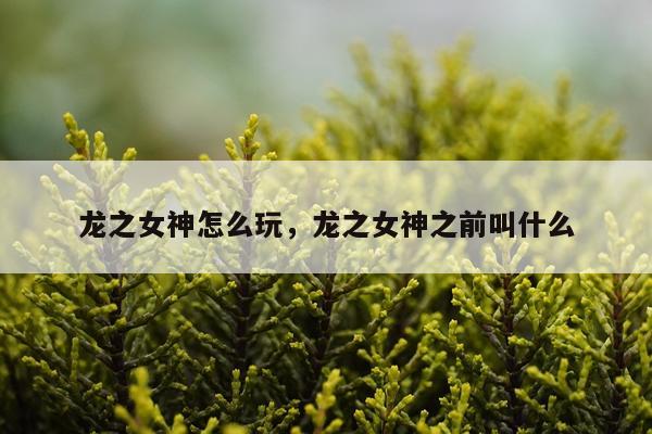 龙之女神怎么玩，龙之女神之前叫什么