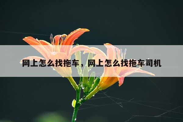 网上怎么找拖车，网上怎么找拖车司机