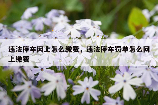 违法停车网上怎么缴费，违法停车罚单怎么网上缴费