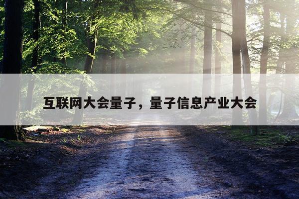 互联网大会量子，量子信息产业大会