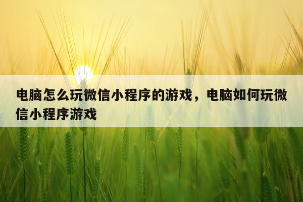 电脑怎么玩微信小程序的游戏，电脑如何玩微信小程序游戏