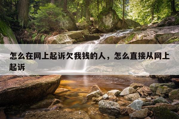 怎么在网上起诉欠我钱的人，怎么直接从网上起诉