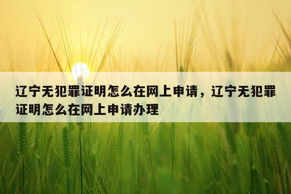 辽宁无犯罪证明怎么在网上申请，辽宁无犯罪证明怎么在网上申请办理