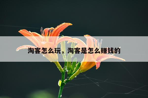 淘客怎么玩，淘客是怎么赚钱的