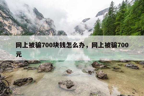 网上被骗700块钱怎么办，网上被骗700元