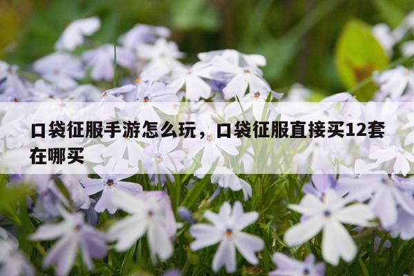 口袋征服手游怎么玩，口袋征服直接买12套在哪买