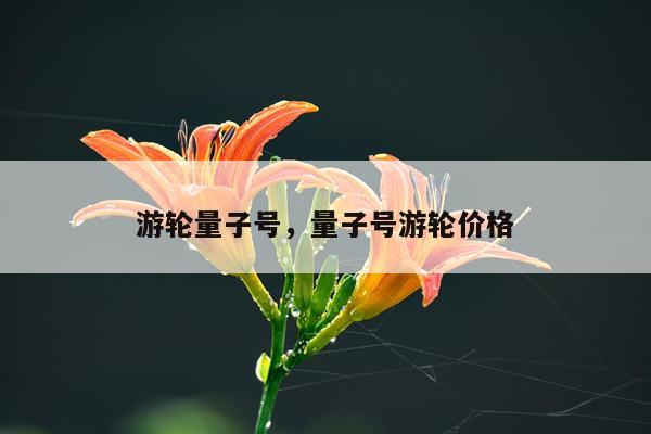 游轮量子号，量子号游轮价格