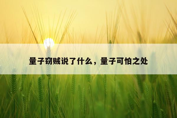 量子窃贼说了什么，量子可怕之处