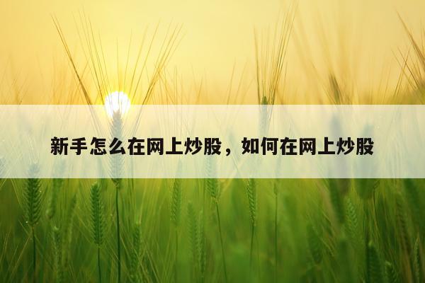 新手怎么在网上炒股，如何在网上炒股