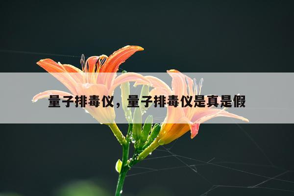 量子排毒仪，量子排毒仪是真是假