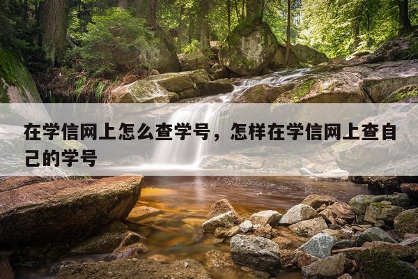 在学信网上怎么查学号，怎样在学信网上查自己的学号