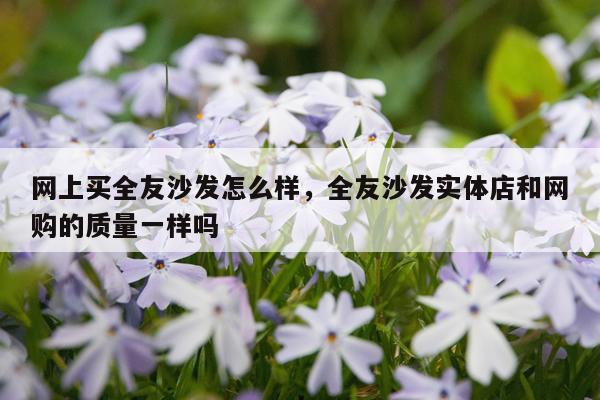 网上买全友沙发怎么样，全友沙发实体店和网购的质量一样吗