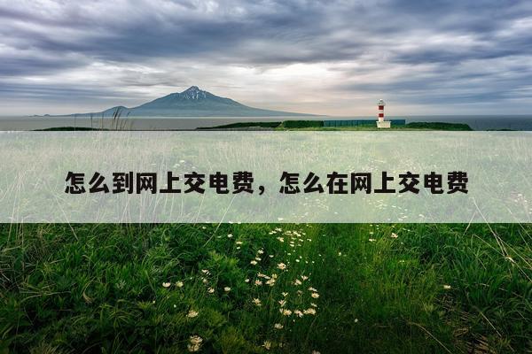 怎么到网上交电费，怎么在网上交电费