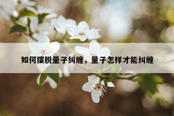 如何摆脱量子纠缠，量子怎样才能纠缠