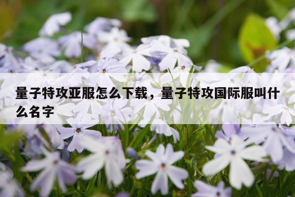 量子特攻亚服怎么下载，量子特攻国际服叫什么名字